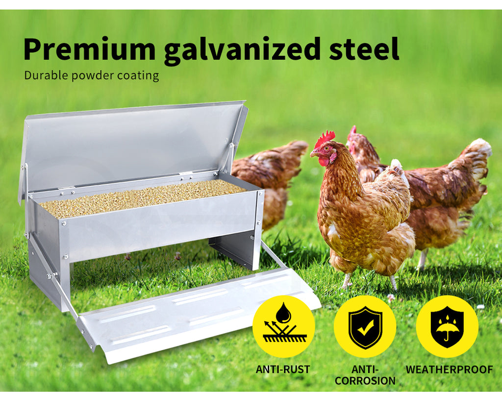 Automatic Chicken Feeder
